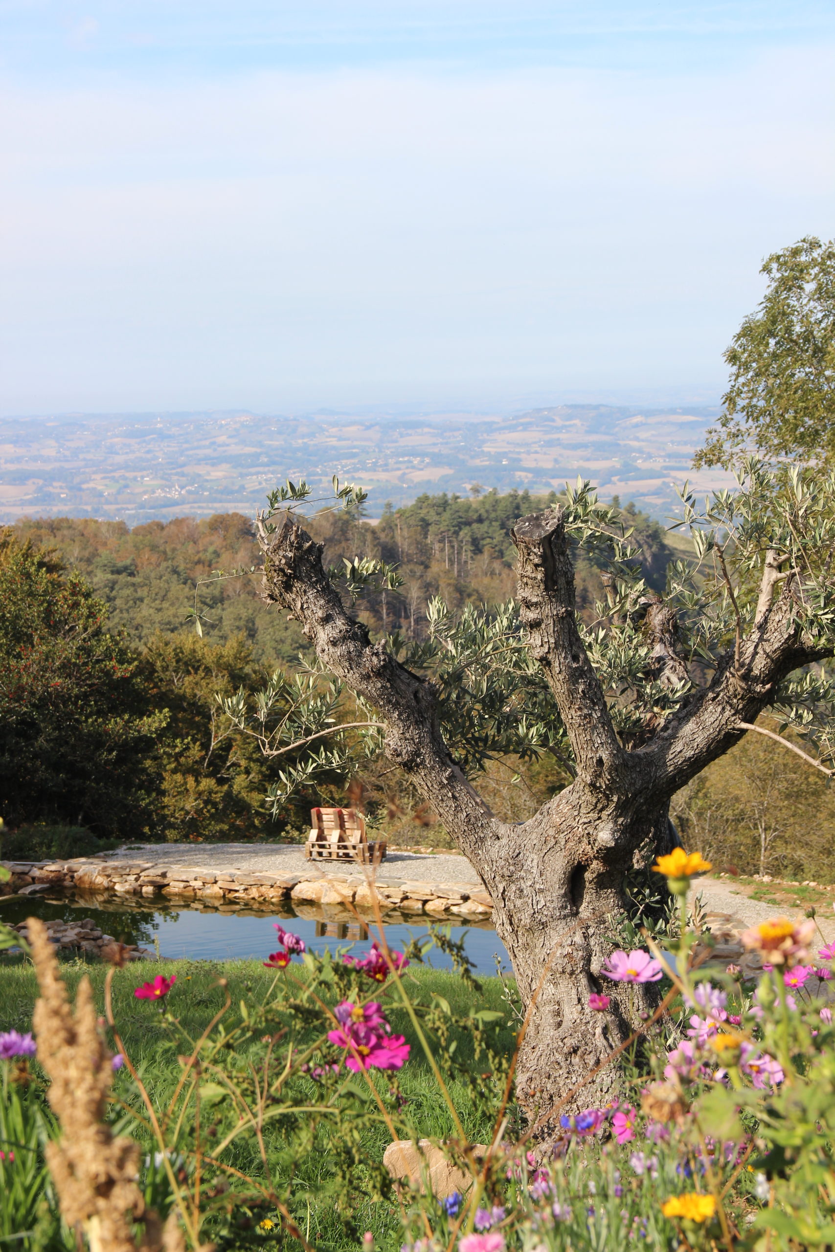 Les Jardins d'Ortigia - vue fleurie
